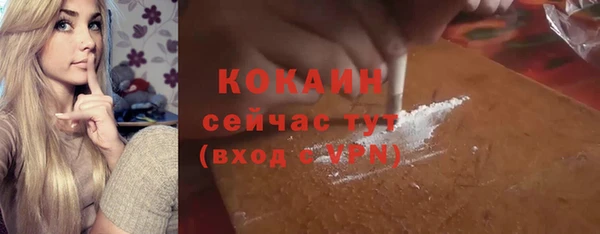 амф Новозыбков