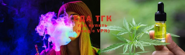 амф Новозыбков