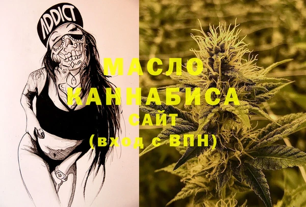 амф Новозыбков