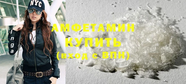 амф Новозыбков