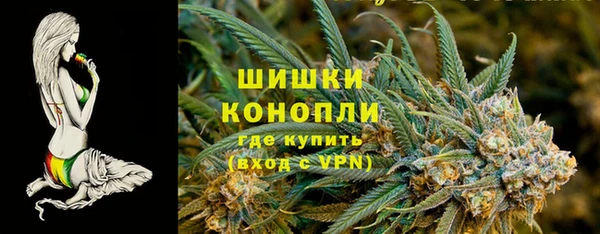амф Новозыбков