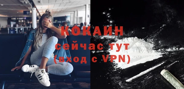 амф Новозыбков