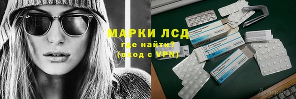 амф Новозыбков