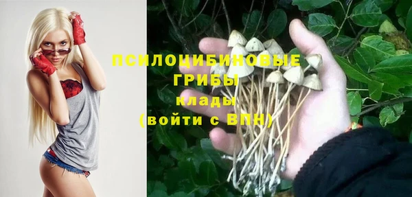 эйфоретик Новокубанск