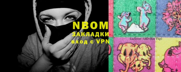амф Новозыбков